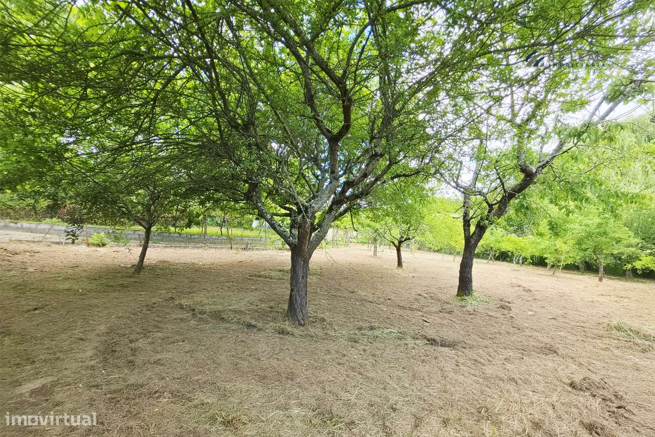 Quinta T4 com 3.670 m² de Terreno em Bitarães, Paredes-36
