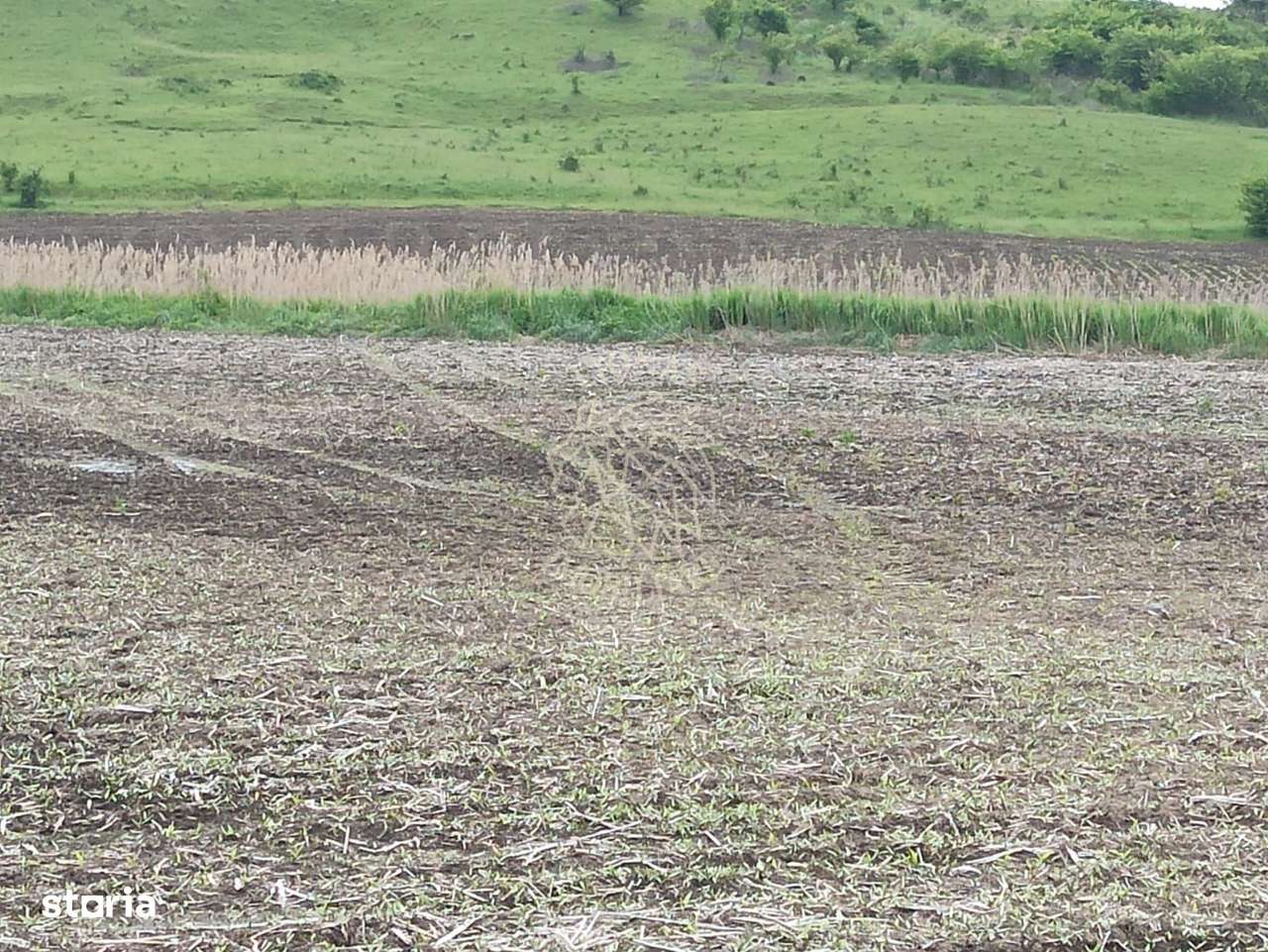 Teren intravilan 1000 mp cu utilitati-ideal casa P+2E-Sarata - Imagine principală: 1/3