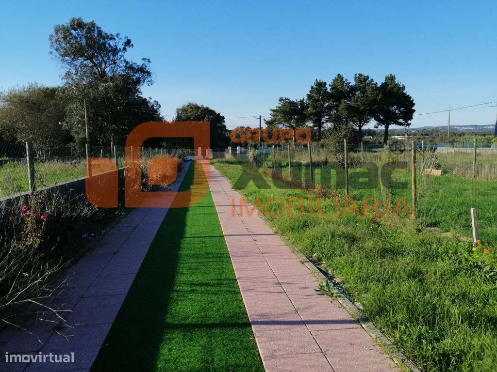 Propriedade tipo quintinha a 5 minutos de São Martinho do Porto! - Grande imagem: 4/48