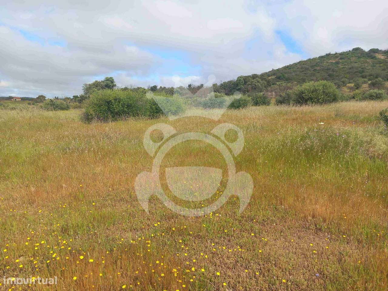 Terreno Rústico com ruína - 3Ha-2