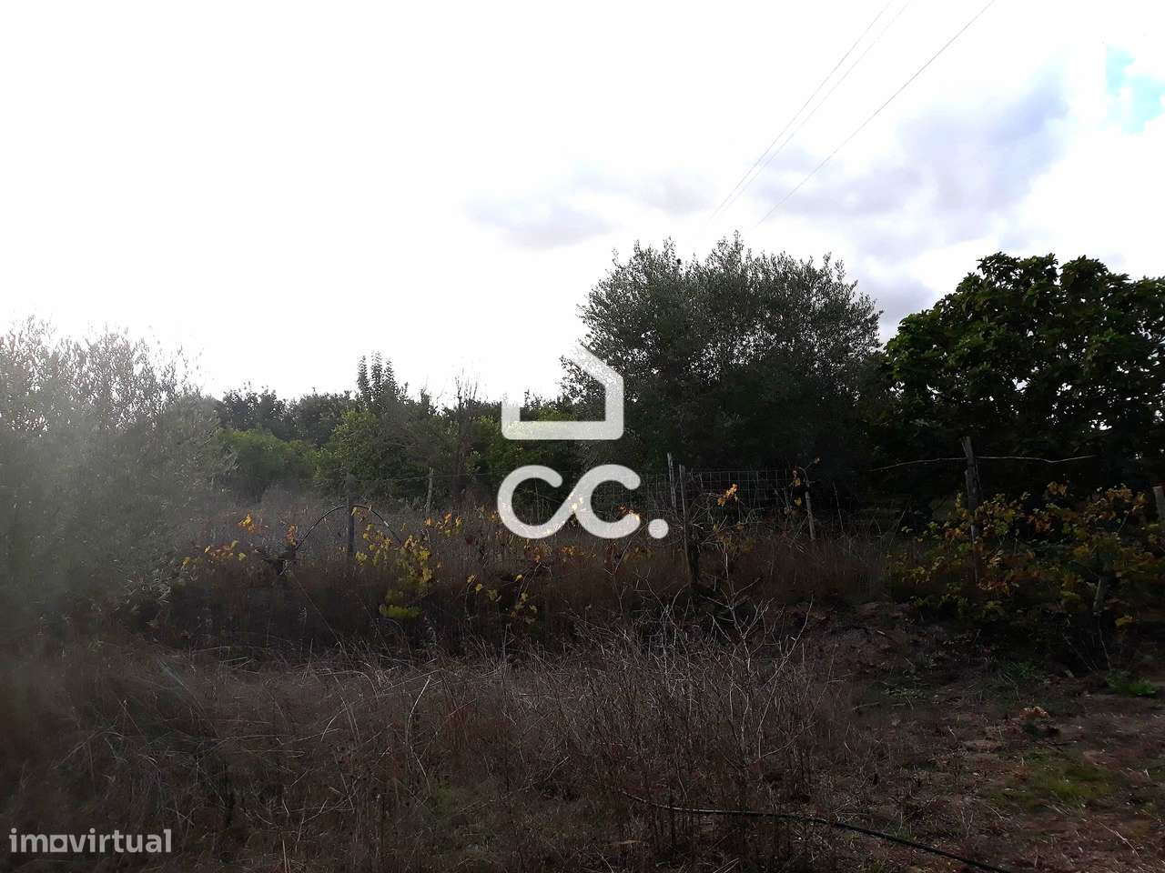 Quinta  em Beringel-19