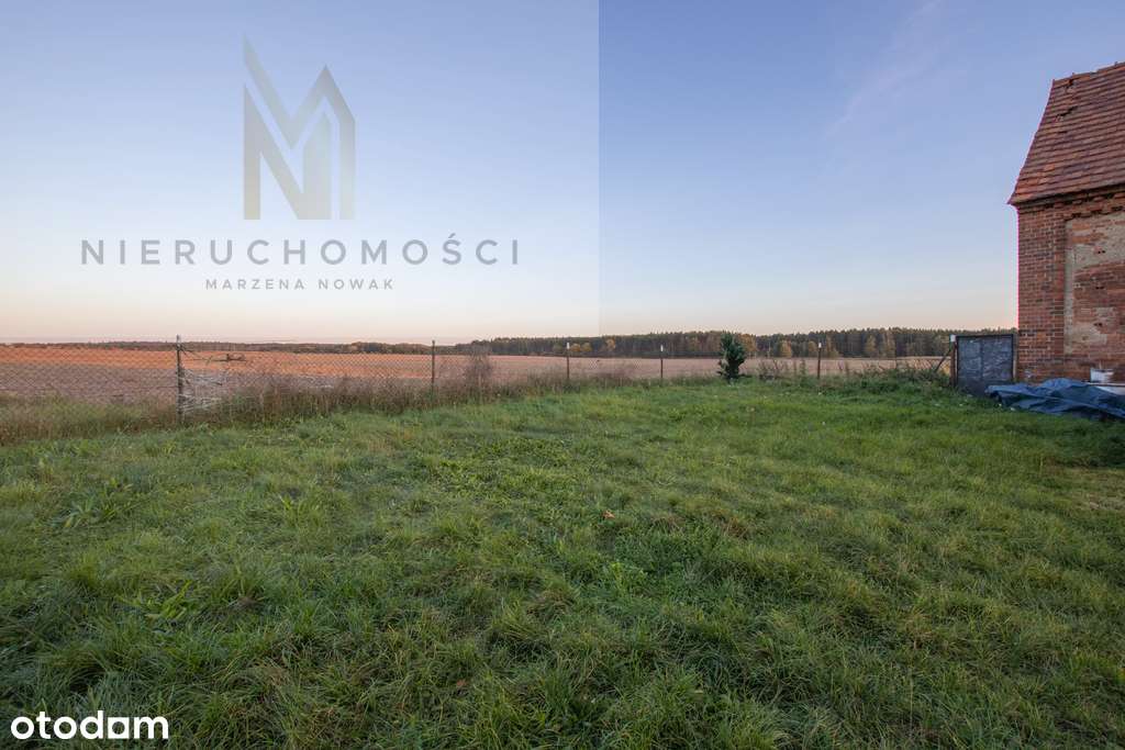 Dom, stodoła, działka 1390 m2, Boraszyce Wielkie-11