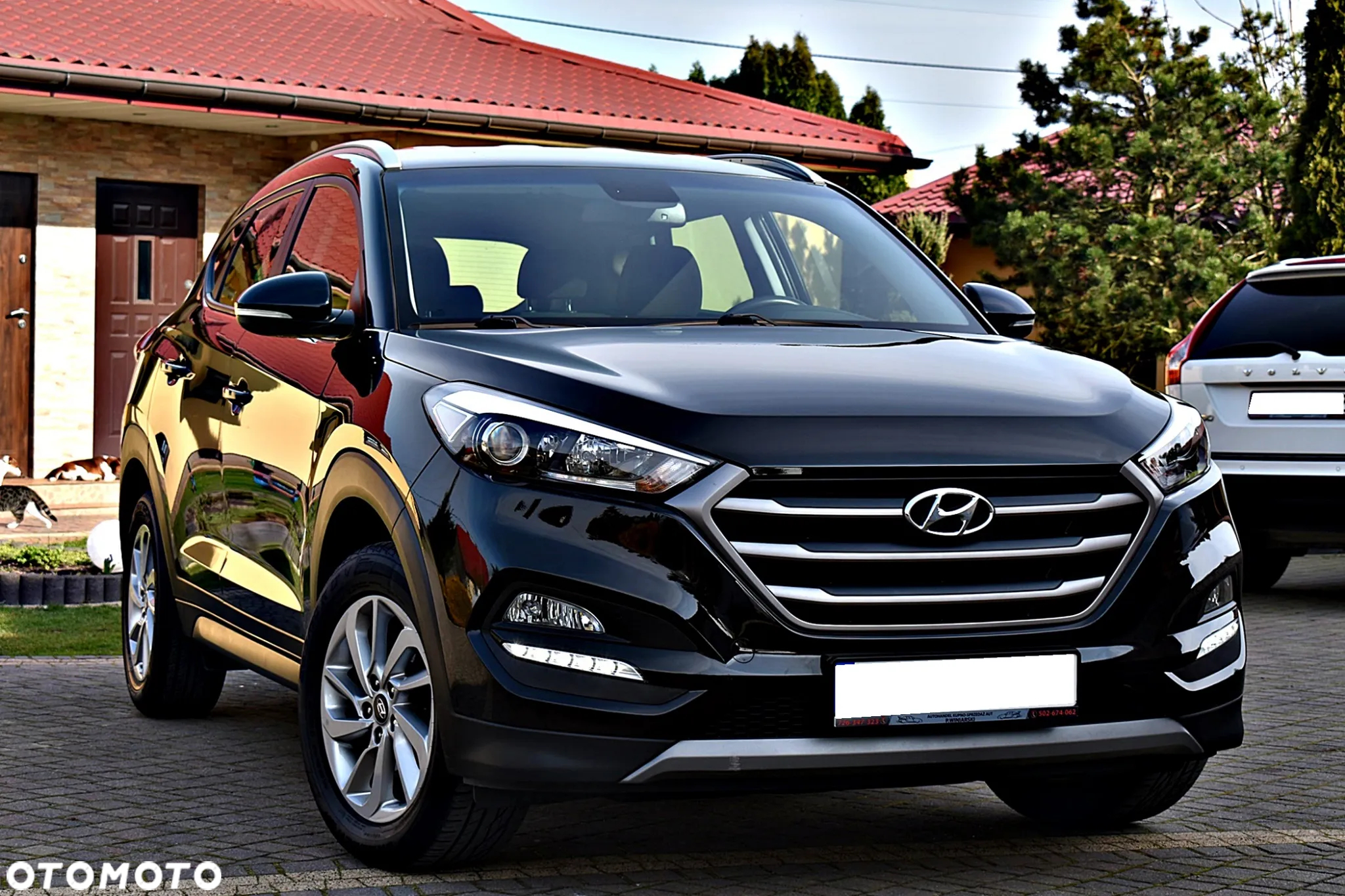 Hyundai Tucson - 13