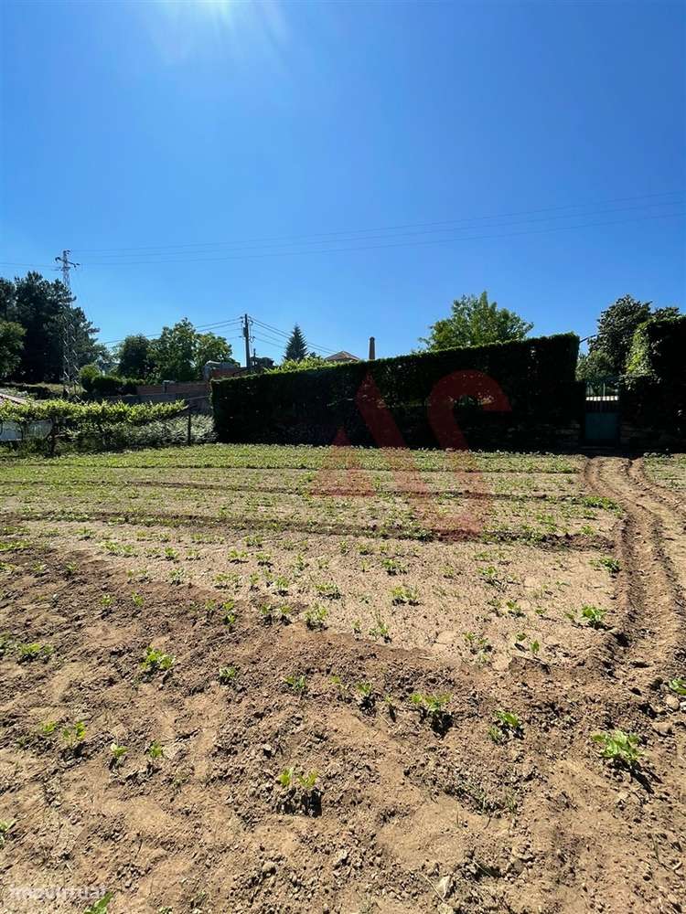 Terreno com 14.908m2 em Macieira da Lixa, Felgueiras - Grande imagem: 3/13