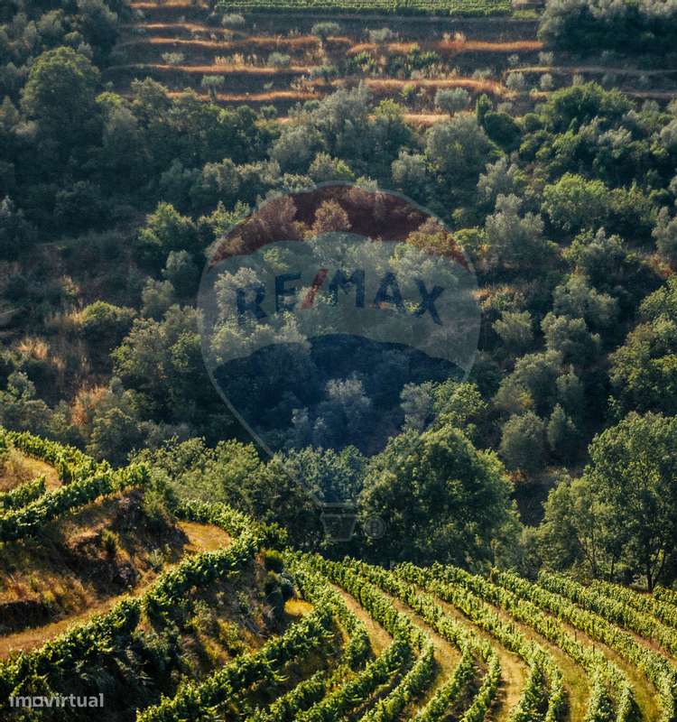 Hotel  para venda - Grande imagem: 2/29