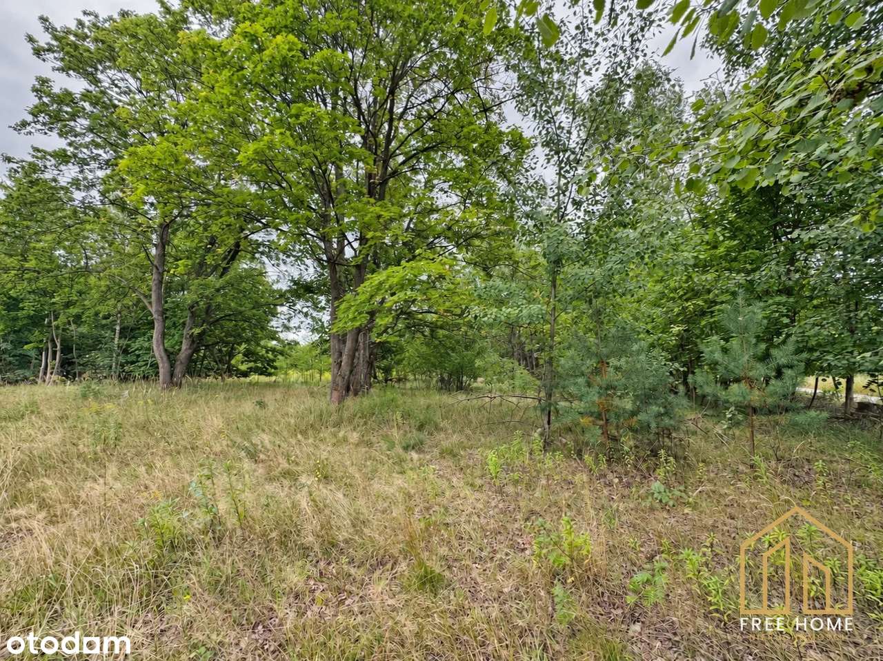 Działka budowlana przy lesie, Głogówko, 1000 m²-6