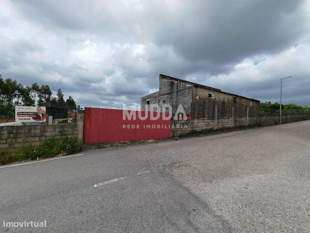 Terreno rústico Aveiro Sul perto do nó da A1 - Grande imagem: 2/15