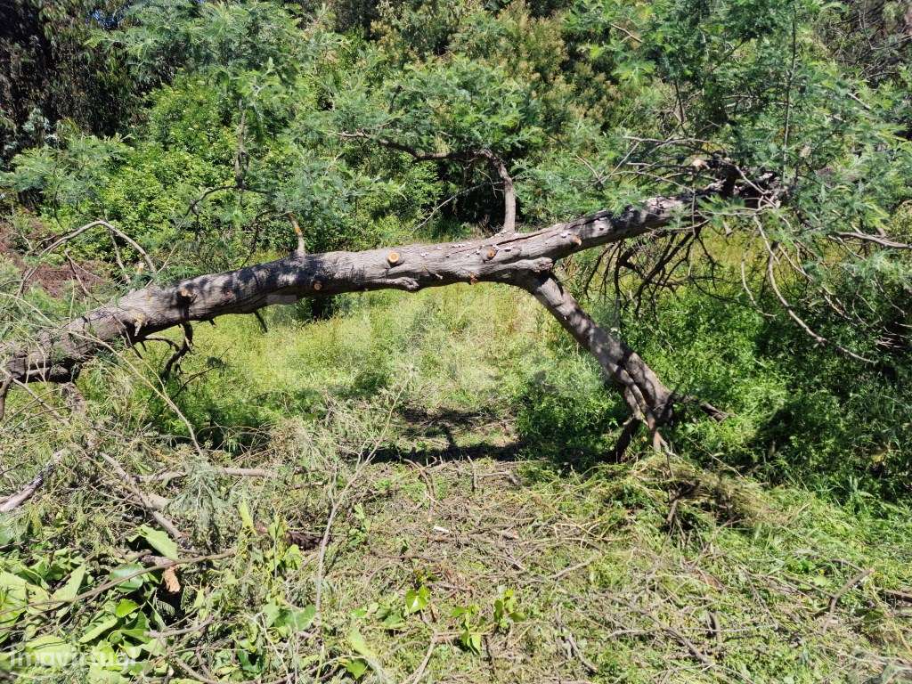 Quinta Serra d´Ossa com 6 habitações-37