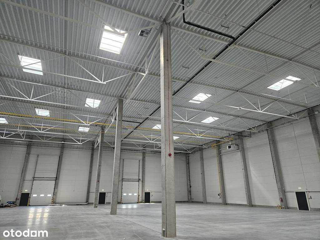 Magazyn na podnajem, 3250 m kw., Poznań, Łubowo - Pełny obrazek: 5/8