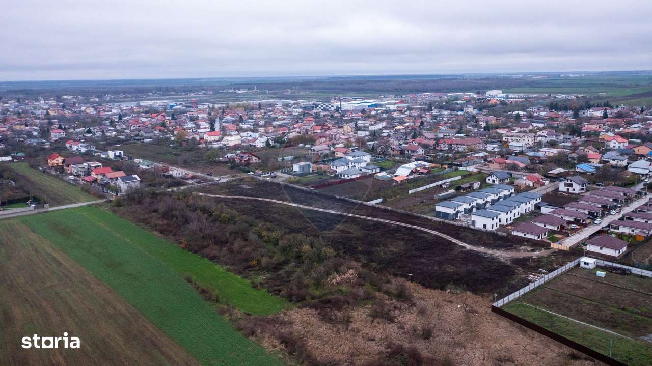 Vanzare teren intravilan 10.000mp Afumati - Strada Teiului-2
