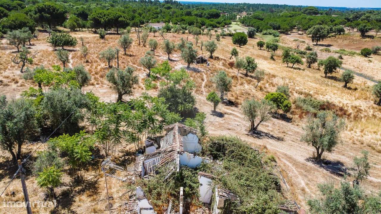 Quinta T5 para venda - Grande imagem: 3/10