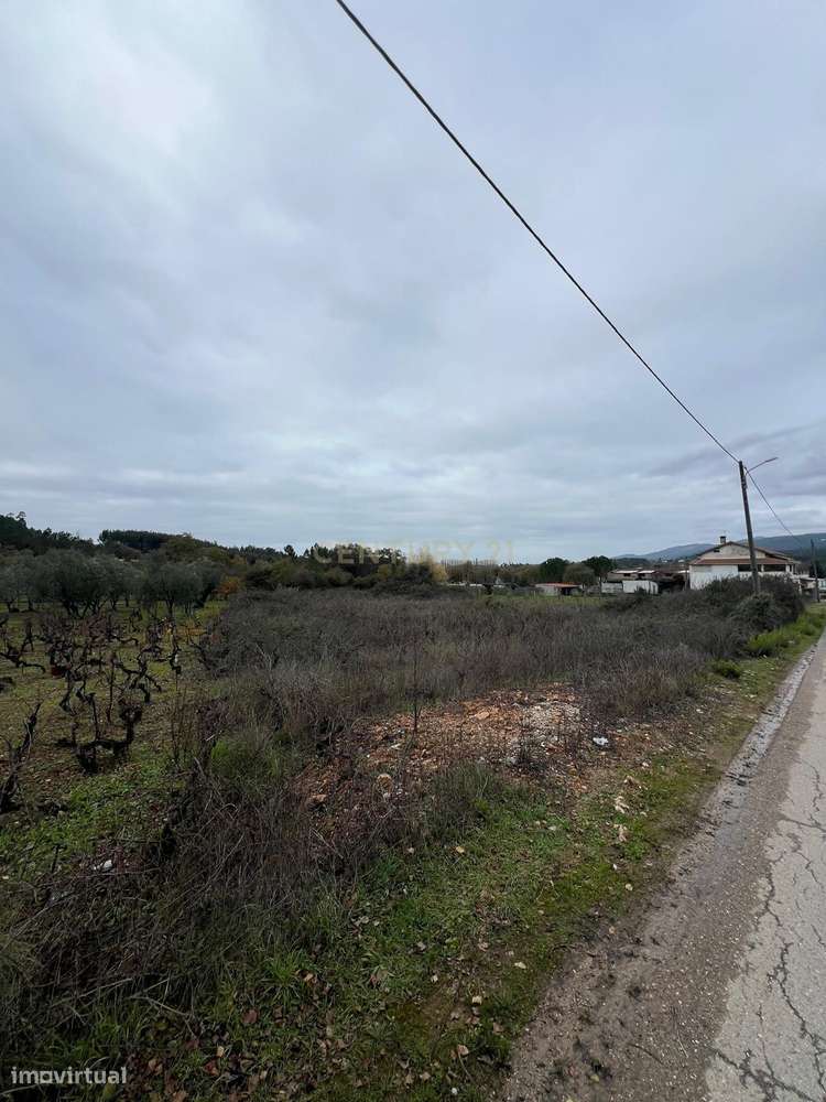 Excelente Terreno na Aguda – Tranquilidade, Natureza e Ótimos Acessos - Grande imagem: 2/5