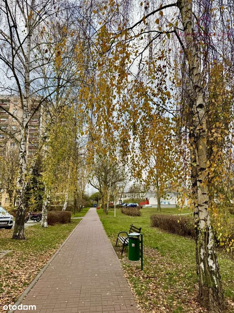 M3 po remoncie | Blisko Lasku Aniołowskiego-16