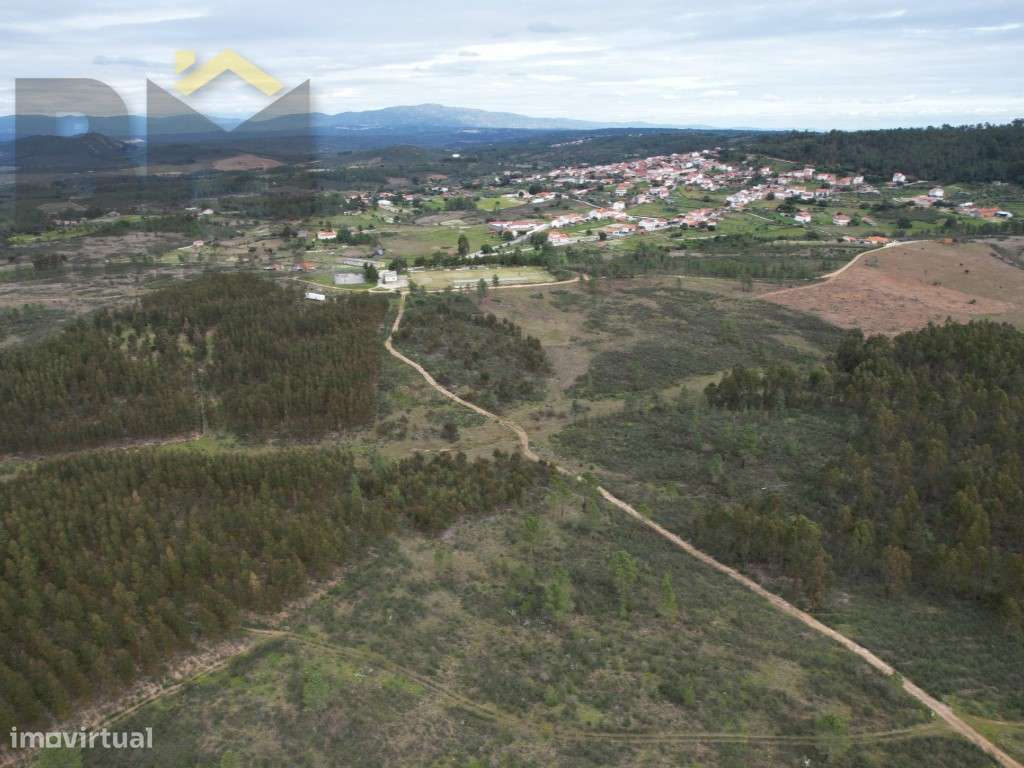 Terreno rústico com 8.400m2 para venda em Salgueiro do Campo! - Grande imagem: 3/5