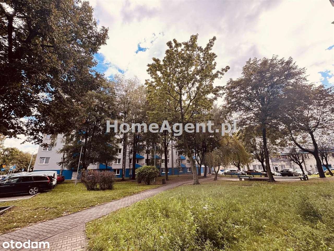 Koszutka-top lokalizacja, blisko Spodka-15