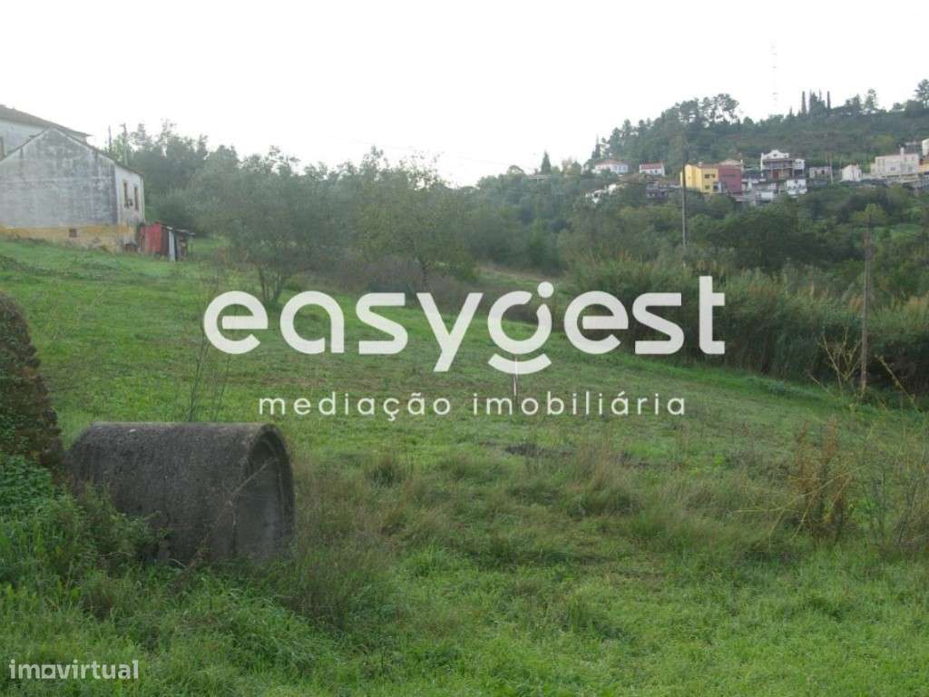 Terreno Coimbra-Pereiros com projeto aprovado para Moradia Bi-familiar - Grande imagem: 5/5