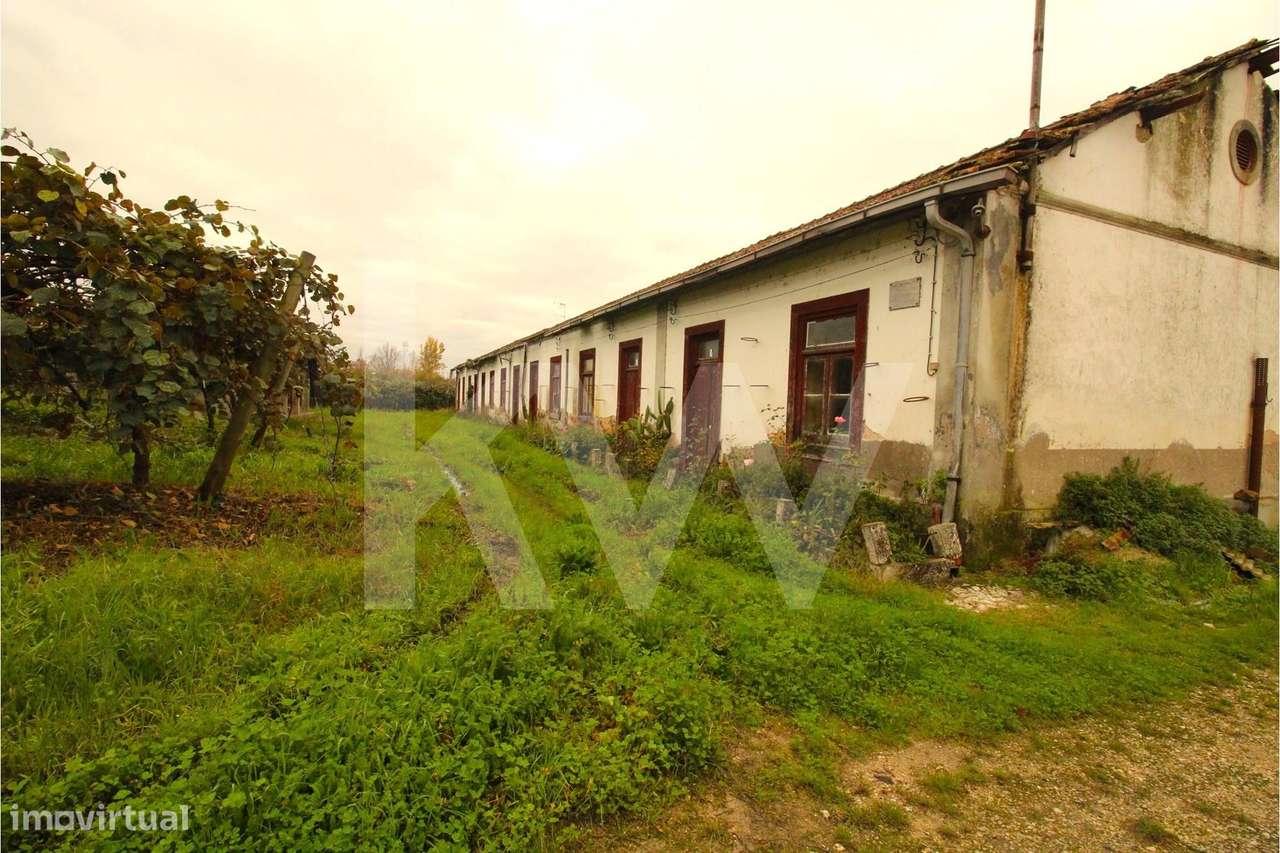 Bairro Operário em Banda em Paleão, Soure - Restaure e Rentabilize! - Grande imagem: 4/24
