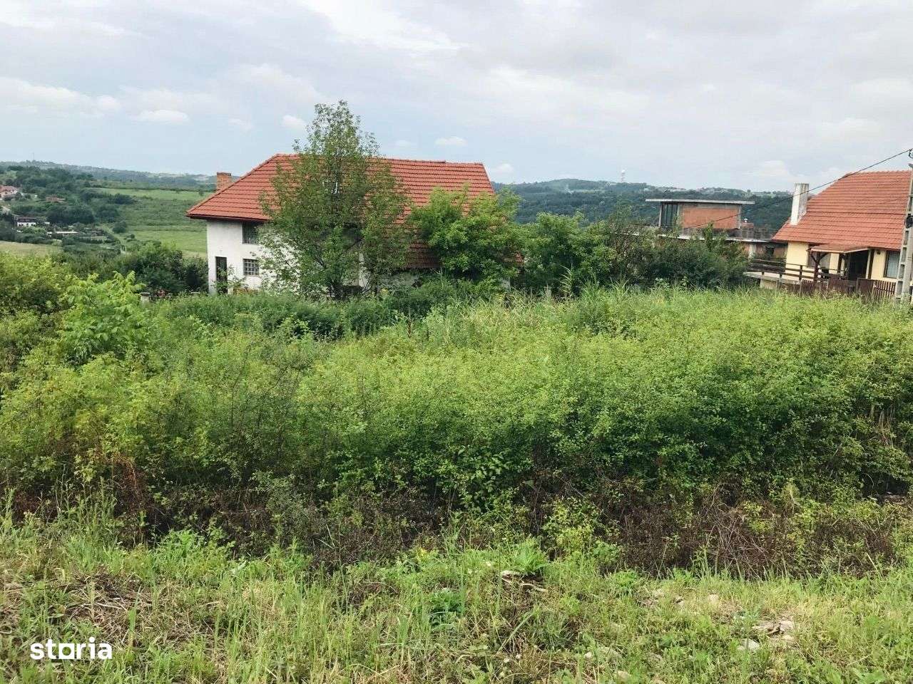 Teren intravilan de vanzare, in Paleu, 504 metri pătrați! - Imagine principală: 2/5