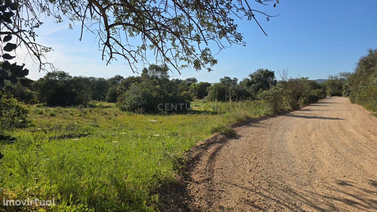 Terreno Rústico com 1900 m2 localizado em Cabeça de Cãmara, São Sebast