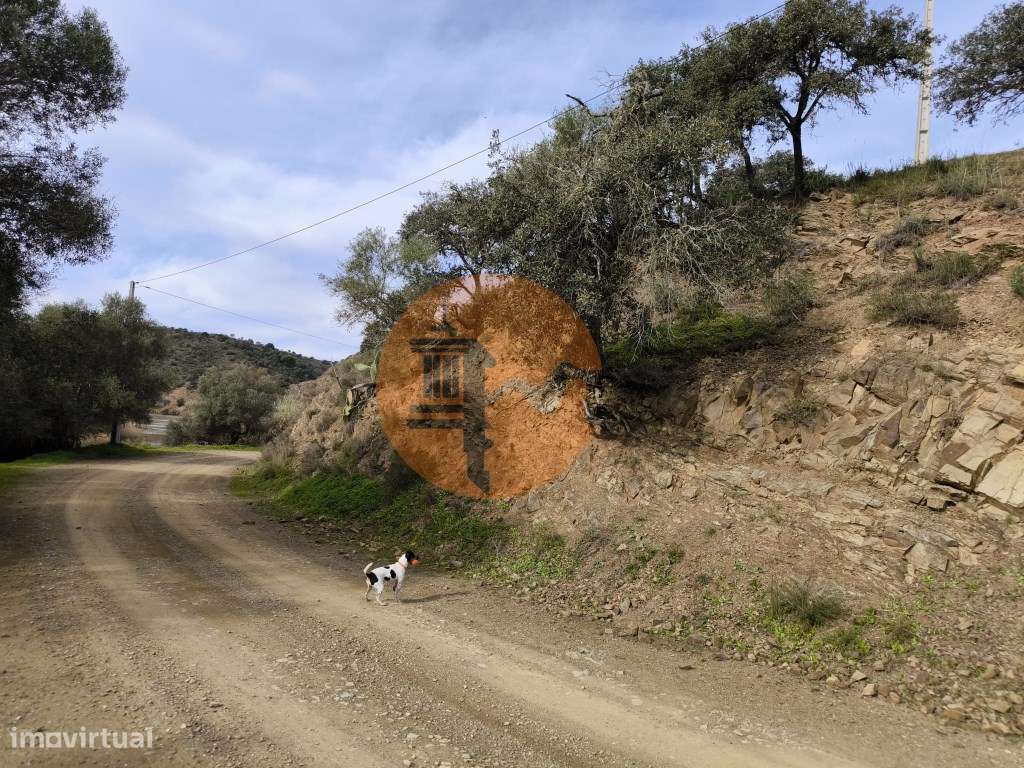 TERRENO RÚSTICO COM 1.920 M² - PRÓXIMO A ELETRICIADADE - JUNTO À RI... - Grande imagem: 4/24