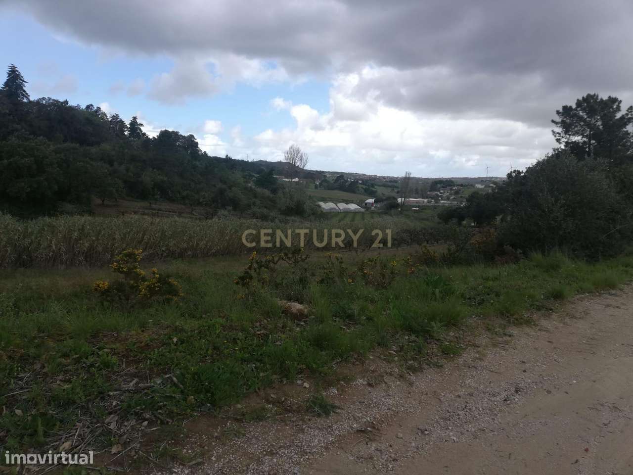 Terreno Agrícola na Zona Oeste - Grande imagem: 3/14