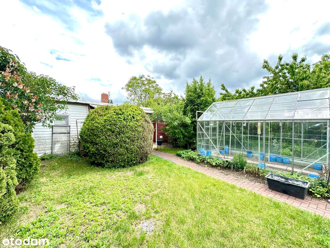 Działka ROD im. Karola Marcinkowskiego z domkiem całorocznym - Pełny obrazek: 5/11