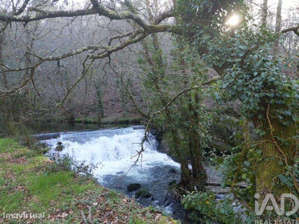 Terreno em Santa Cruz da Trapa e São Cristóvão de Lafões de 26728,00 m - Grande imagem: 1/30
