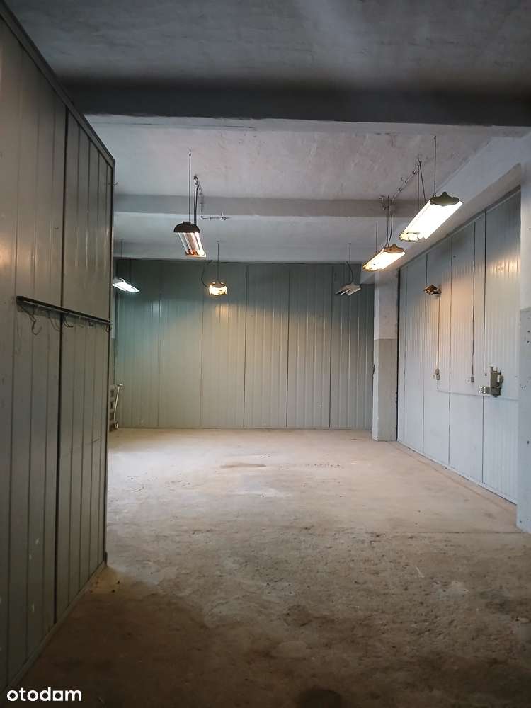 Magazyn, bezpośrednio 80,05 m², Górczyn, Hallera - Pełny obrazek: 4/7
