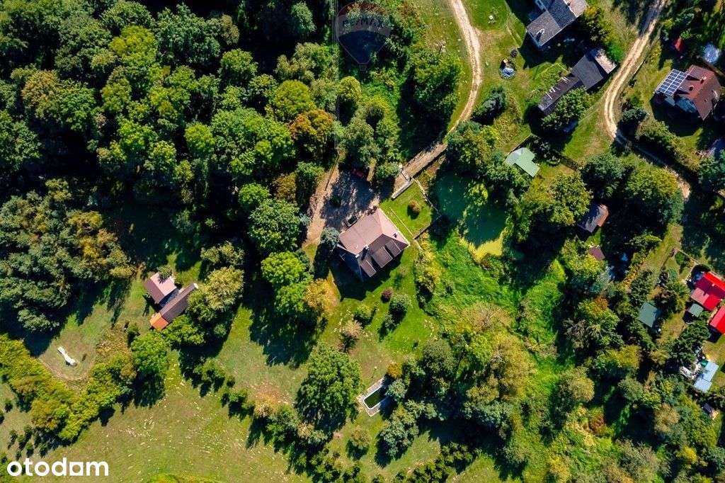 Rezydencja na wyspie z parkiem, 3,6 ha, XIX wiek - Pełny obrazek: 5/20