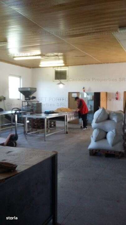 Spatiu industrial, Manoleasa, Botosani - Imagine principală: 4/10