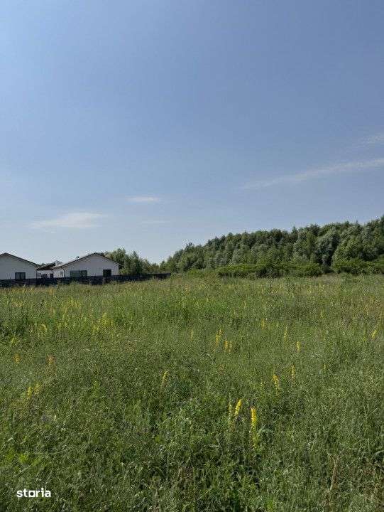 Domnesti – Strada Salciei – Teren intravilan 500 mp x 2 loturi - Imagine principală: 1/11