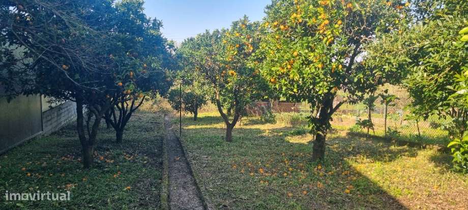 Moradia T4+2 - Casais do Campo - Coimbra/Venda-7