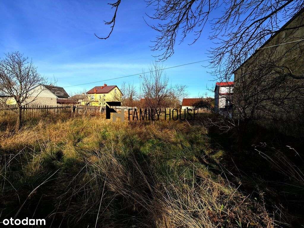 Działka 5000m2/Węglów gm. Wąchock - Pełny obrazek: 4/8