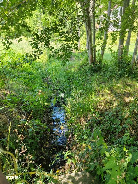 Teren intravilan 1035 mp cu parau, Breaza, Prahova - Imagine principală: 3/6