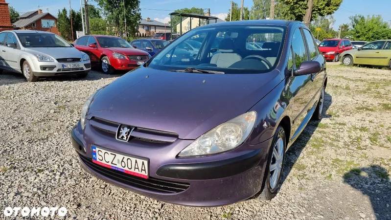 Peugeot 307 1.6 XS - 13