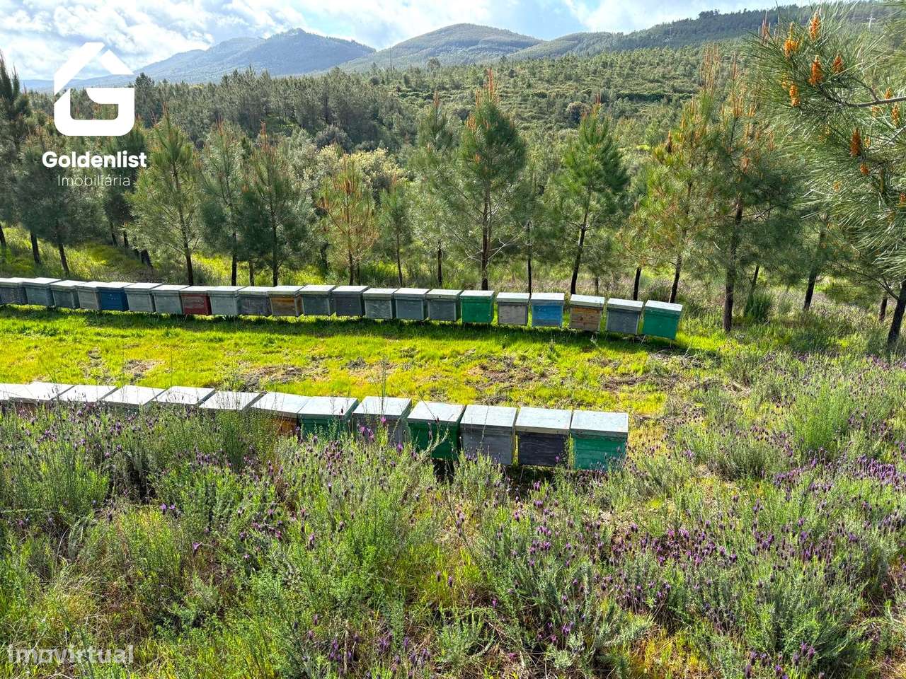 Herdade  Venda em Penamacor,Penamacor-7