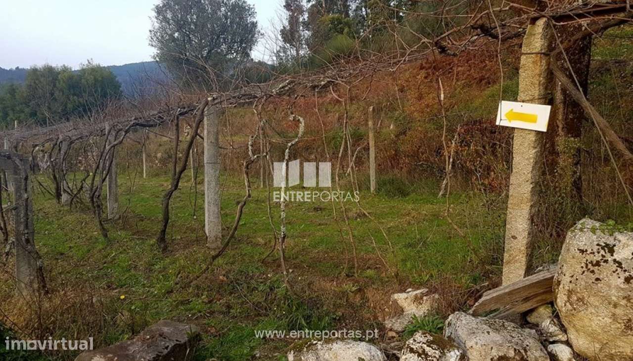 Venda de Terreno, Bárrio, Ponte de Lima - Grande imagem: 4/7