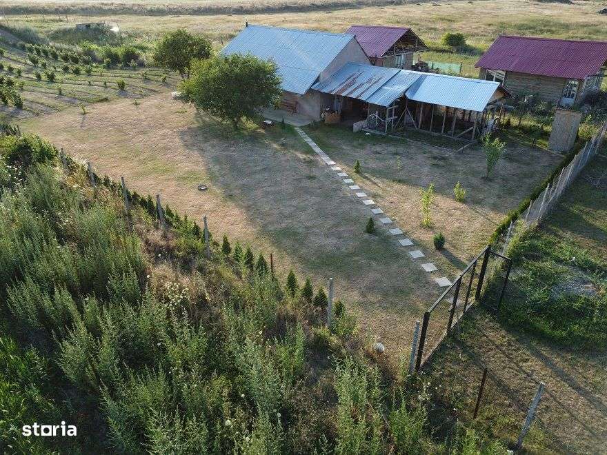 Casa Tip Cabana Letea Veche 5200 mp teren Livada Aluni - Imagine principală: 3/20