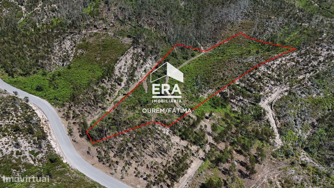 Terreno Florestal em Matas, Ourém-2