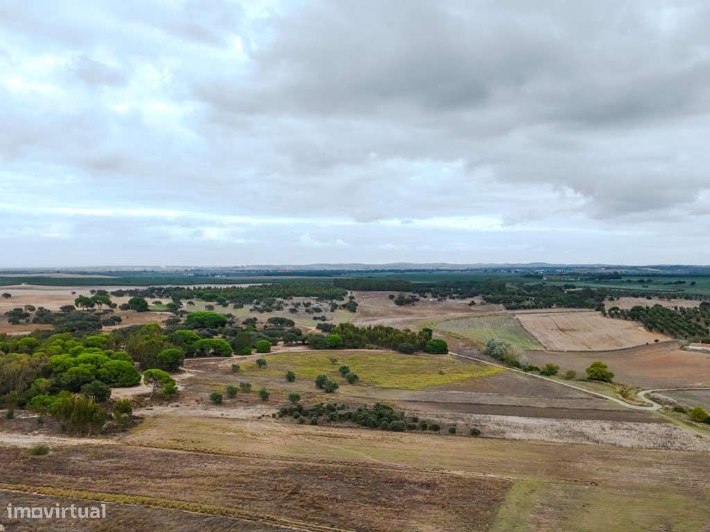 TERRENO DE 22,45 HA COM RUÍNA DE 240 M² PARA RECUPERAÇÃO EM FERREIR...-15
