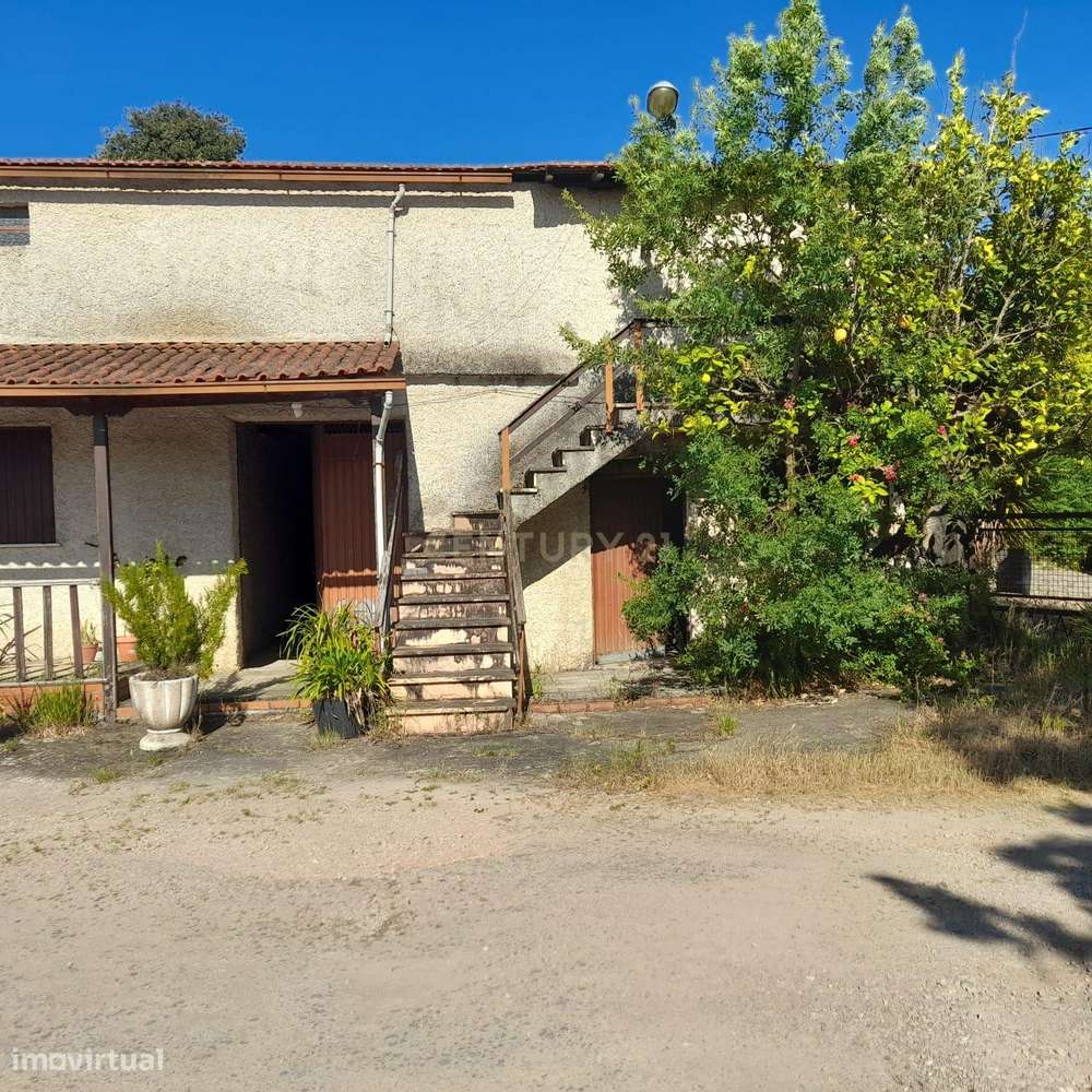 Casa Térrea Aguda - Grande imagem: 3/6