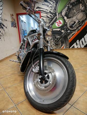 Harley-Davidson Softail V-Rod - 12