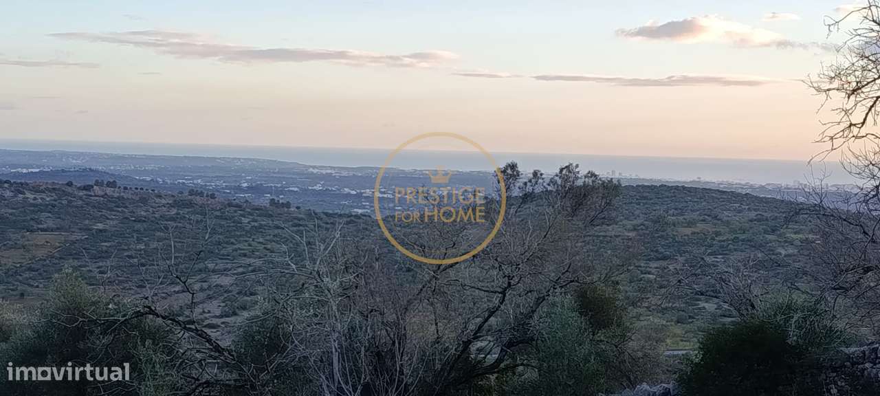 Terreno com ruina e ampla vista aberta da Picota até ao mar-8