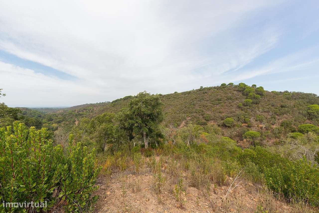 Terreno Misto 56.1 ha, Santiago do Cacem - Grande imagem: 2/23