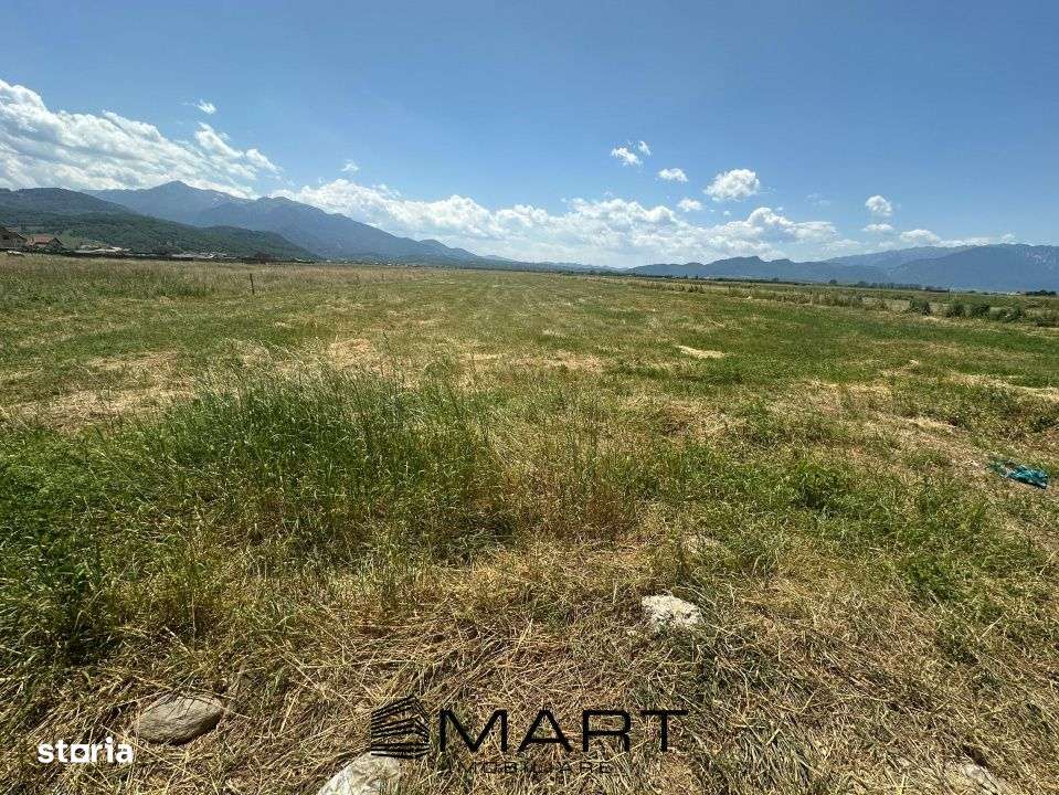 Teren Intravilan Rasnov 7.500 mp - Imagine principală: 4/11