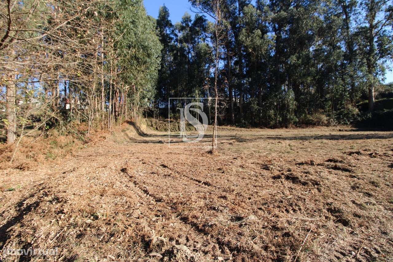 Terreno Exclusivo em Telões, Amarante - Grande imagem: 3/19