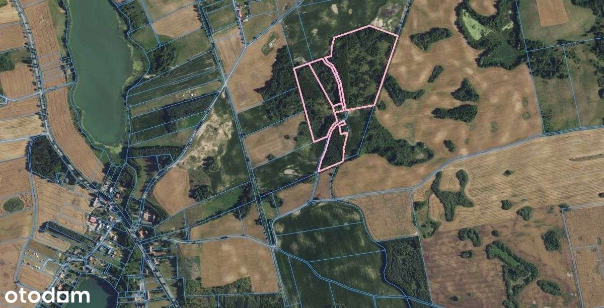 Działka, 109 607 m², Miłki - Pełny obrazek: 4/19