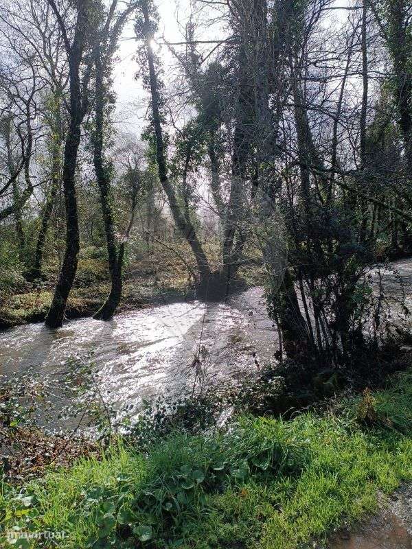 Terreno  para venda - Grande imagem: 4/6