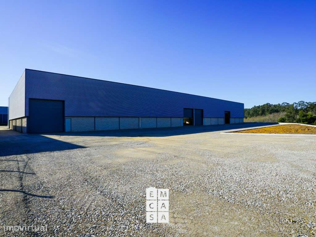 2 Pavilhões Industriais - Travanca - Grande imagem: 5/16