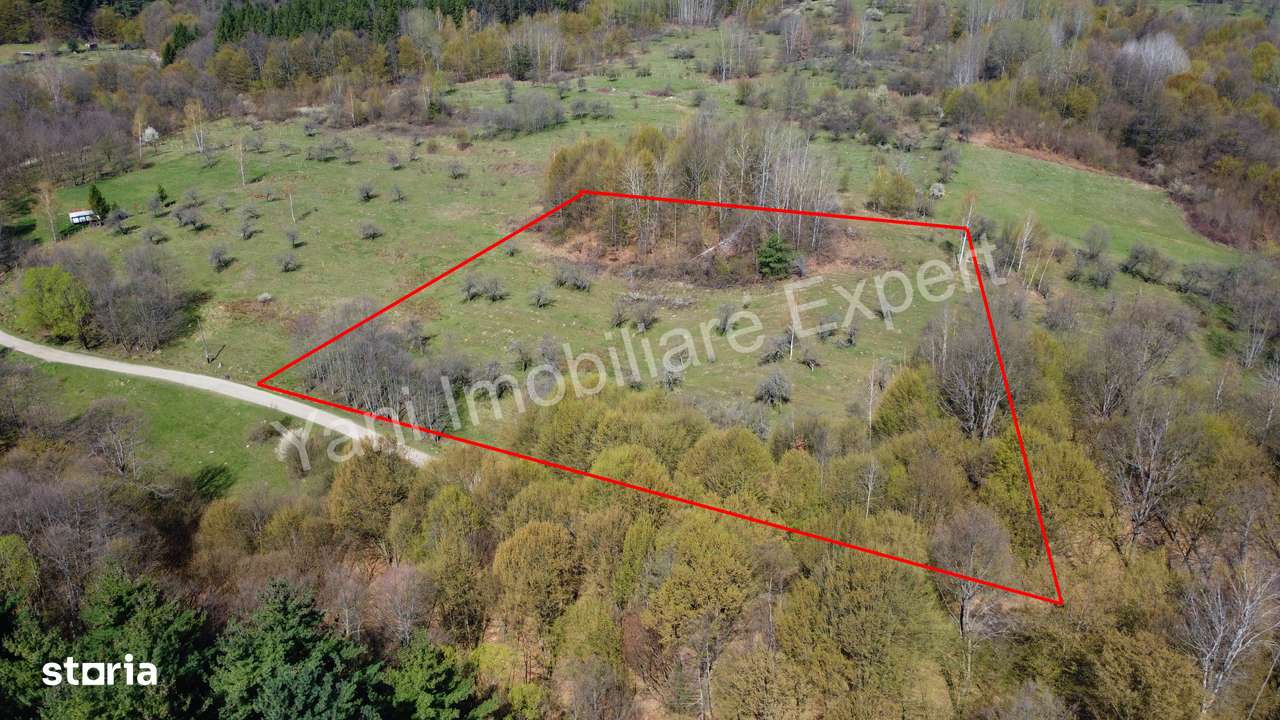 Teren de vânzare în Curtea de Argeș - Imagine principală: 1/17